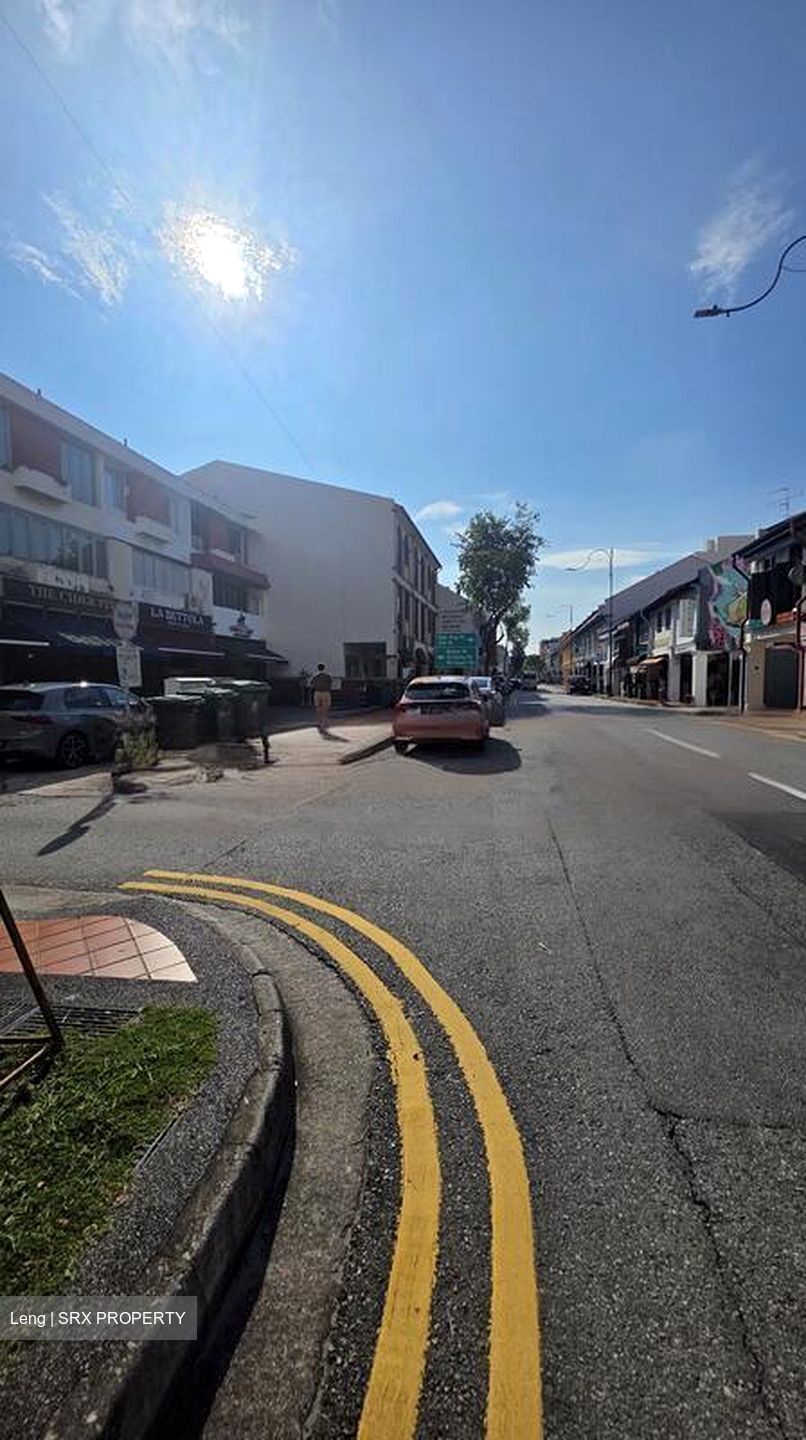 Joo Chiat Road (D15), Shop House #463898791